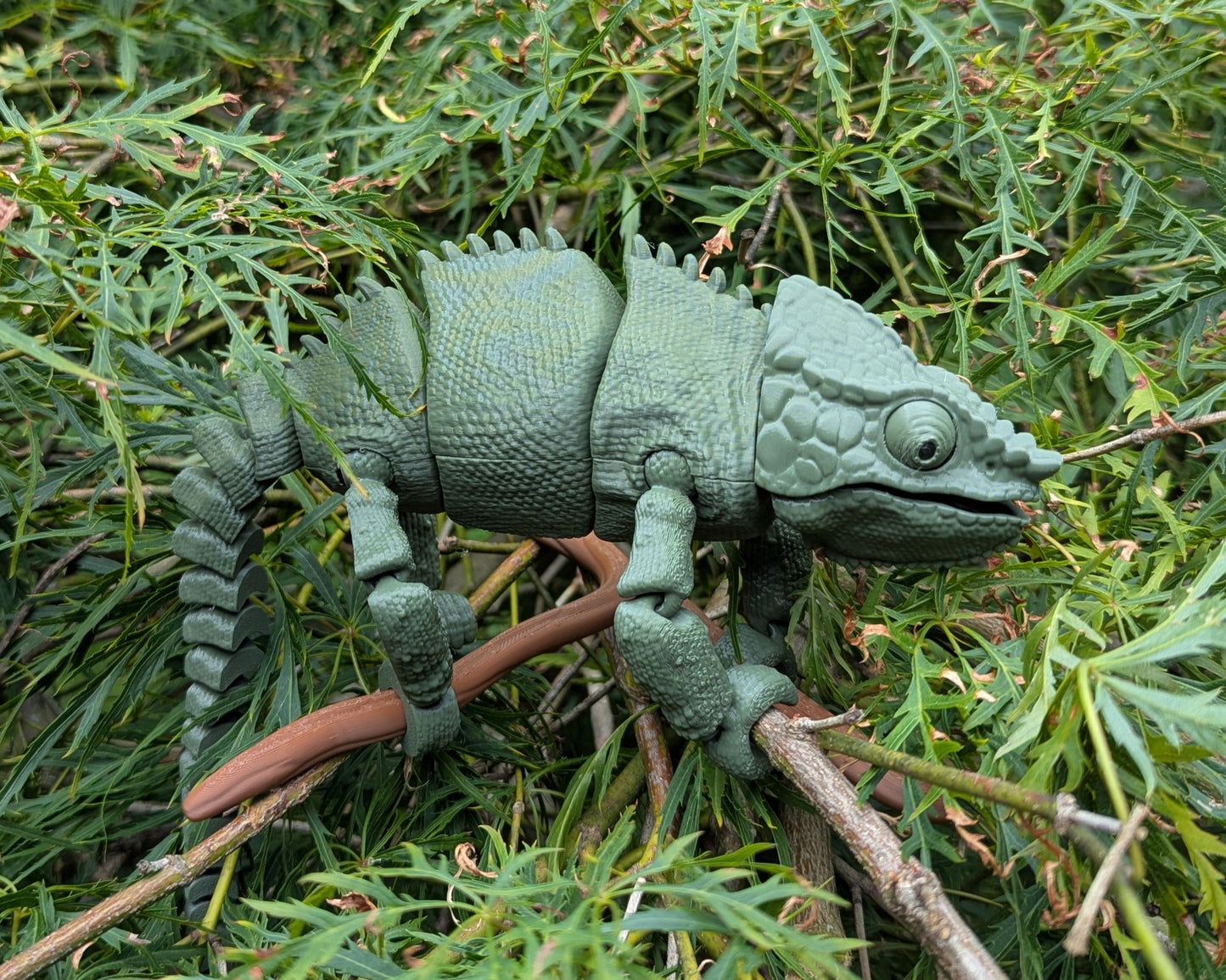 Panther Chameleon
