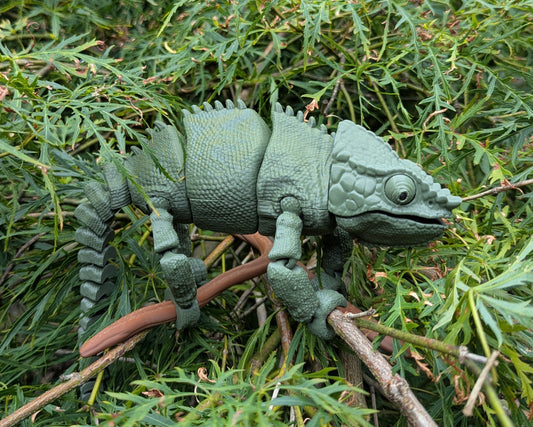 Panther Chameleon