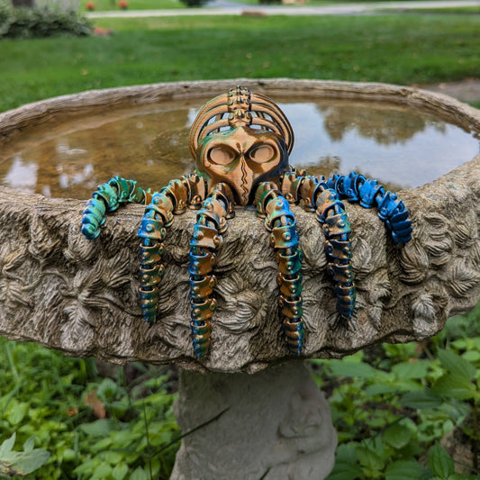 Octopus Skeleton