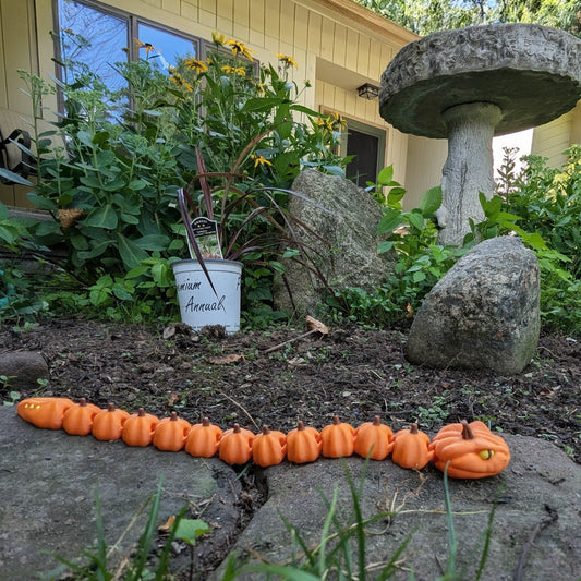 Pumpkin Snake, Orange, Medium