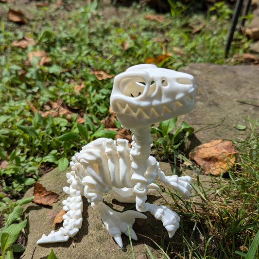 Utah Raptor Baby Skeleton White