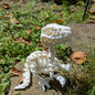 Utah Raptor Baby Skeleton White
