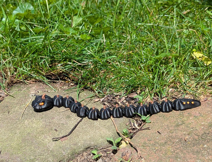 Pumpkin Snake, Black, Small