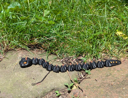 Pumpkin Snake, Black, Small