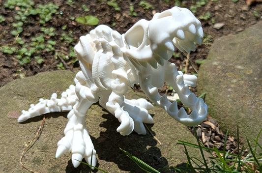 T-Rex Baby Skeleton White