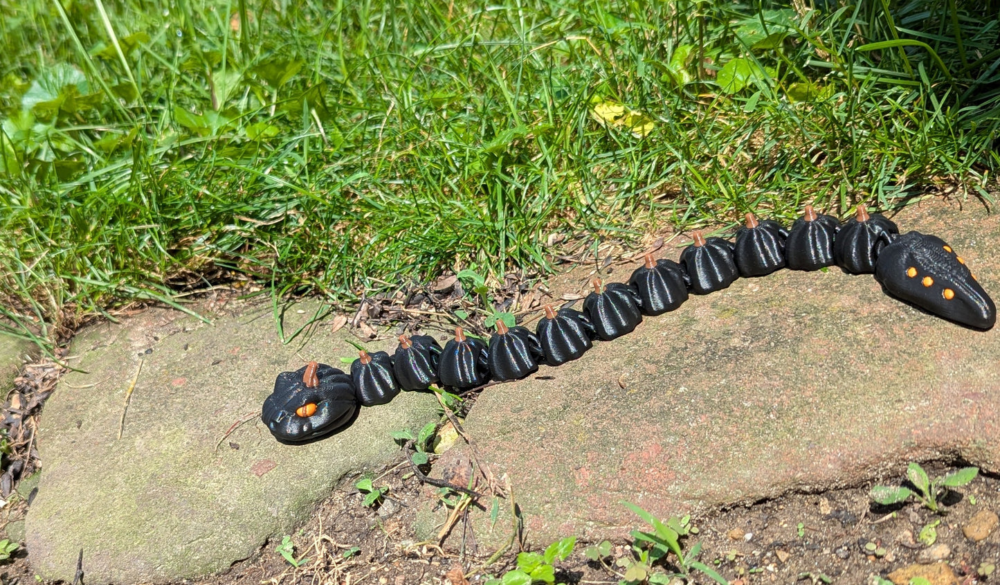 Pumpkin Snake, Black, Medium