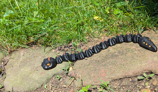 Pumpkin Snake, Black, Medium