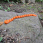 Pumpkin Snake, Orange, Small